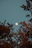 Περιδιαβαίνοντας τους πλανήτες